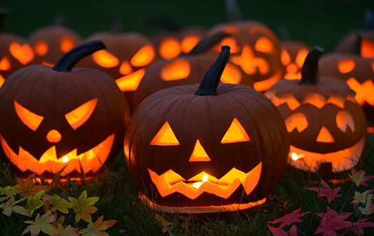 秋の豊穣を祝おう!十勝ハロウィン