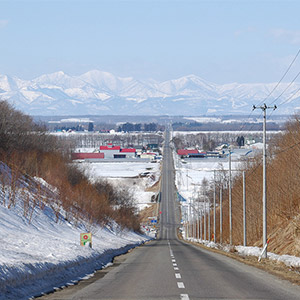 遠い道の向こうに